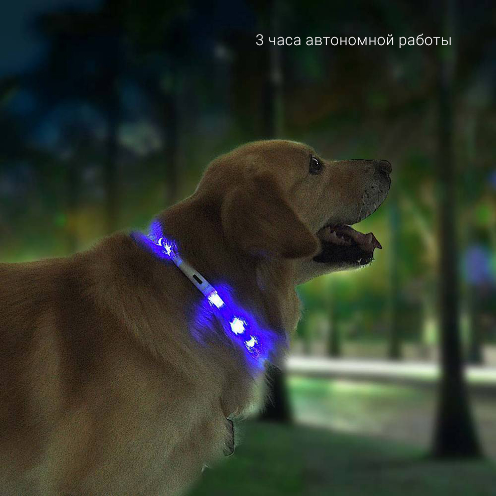 Умный ошейник для собак Xiaomi Small Beast Star Pet Collar (XL81-5001)